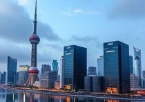 上海云盾服务器价格分析，影响因素与选择建议