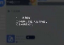 浪潮云服务器客服，高效服务助力企业数字化转型