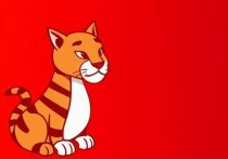 云服务器如何启动Tomcat？一步步指南