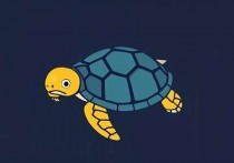 云服务器运行Python Turtle的详细指南