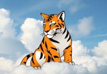云服务器是否自带Tomcat？深度解析云服务器与Tomcat的关系