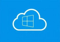 Windows云服务器无法服务的排查与解决指南