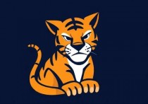 腾讯云服务器访问Tomcat，全面指南