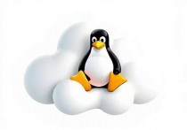 轻松掌握，如何使用云服务器下载和安装Linux系统