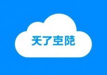 如何查看网易云服务器，详细指南