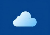 永久免费云服务器好吗？深度解析其优缺点与适用场景