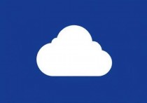 如何在云服务器上安装CCProxy，详细指南与优化建议