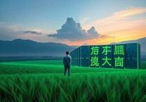 文登云服务器存储，高效数据管理的未来趋势