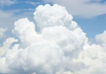 云服务器需要MySQL，为什么MySQL是云时代不可或缺的数据库选择