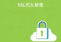 腾讯云服务器配置SSL，提升网站安全与信任的实用指南
