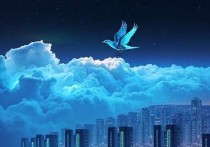 鸟云服务器免费，开启云计算新纪元