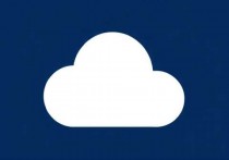 在云服务器上安装OSX，实现远程macOS环境的详细指南