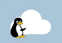 Linux云服务器怎么上网，全面指南
