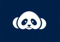 熊猫云服务器错误，常见问题及解决方案