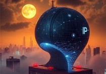 云更新服务器IP，数字化转型中的关键一环