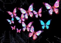探索butterfly云服务器的蝴蝶矩阵，未来云计算的新趋势