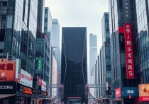 广东极速云服务器，助力企业数字化转型的强劲引擎